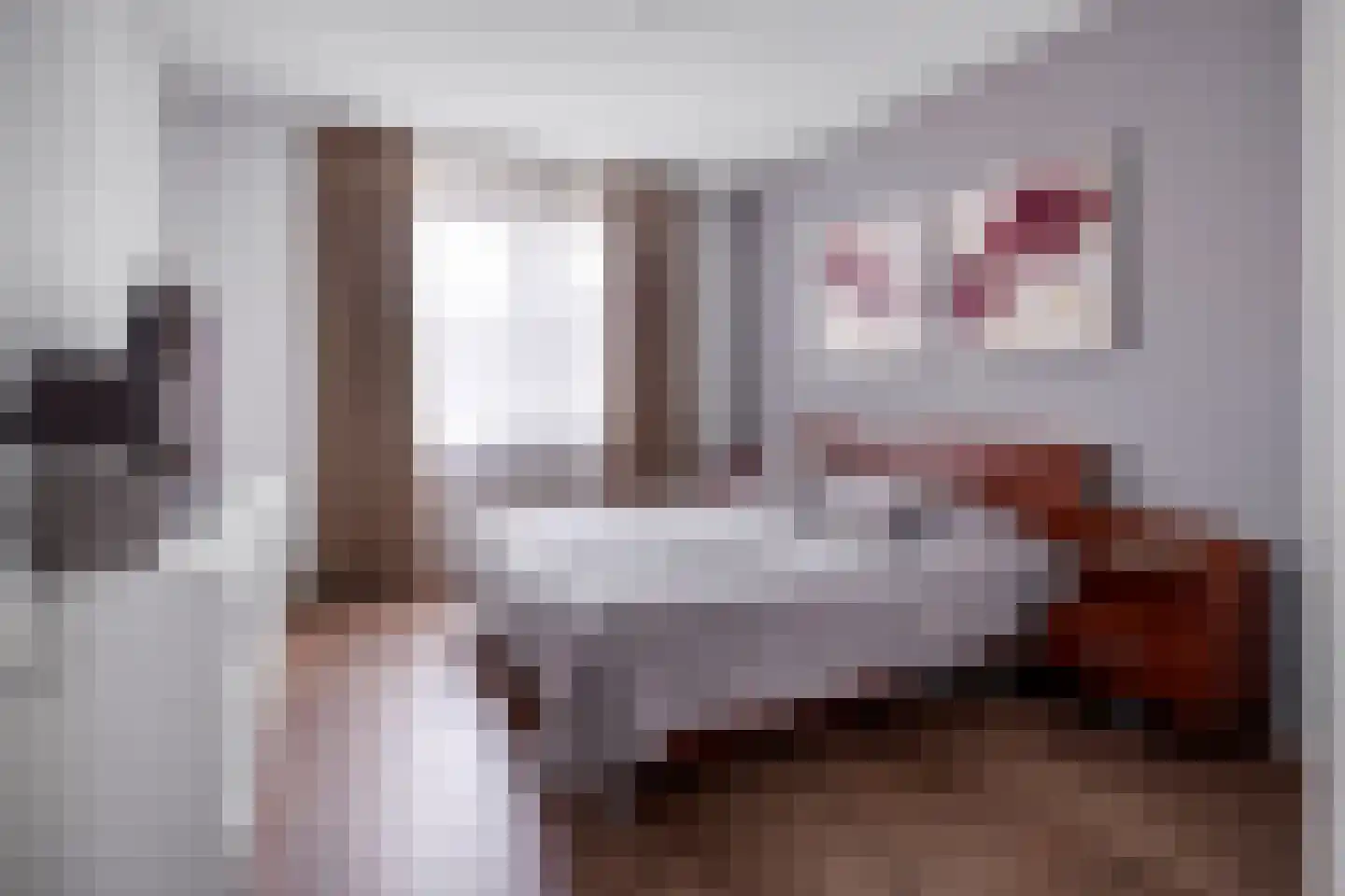 Aloysiusplein 49 Geffen thumbnail 30