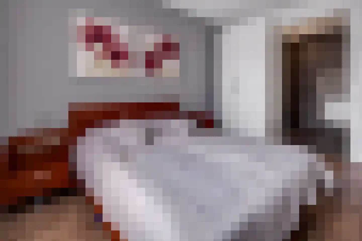Aloysiusplein 49 Geffen thumbnail 31