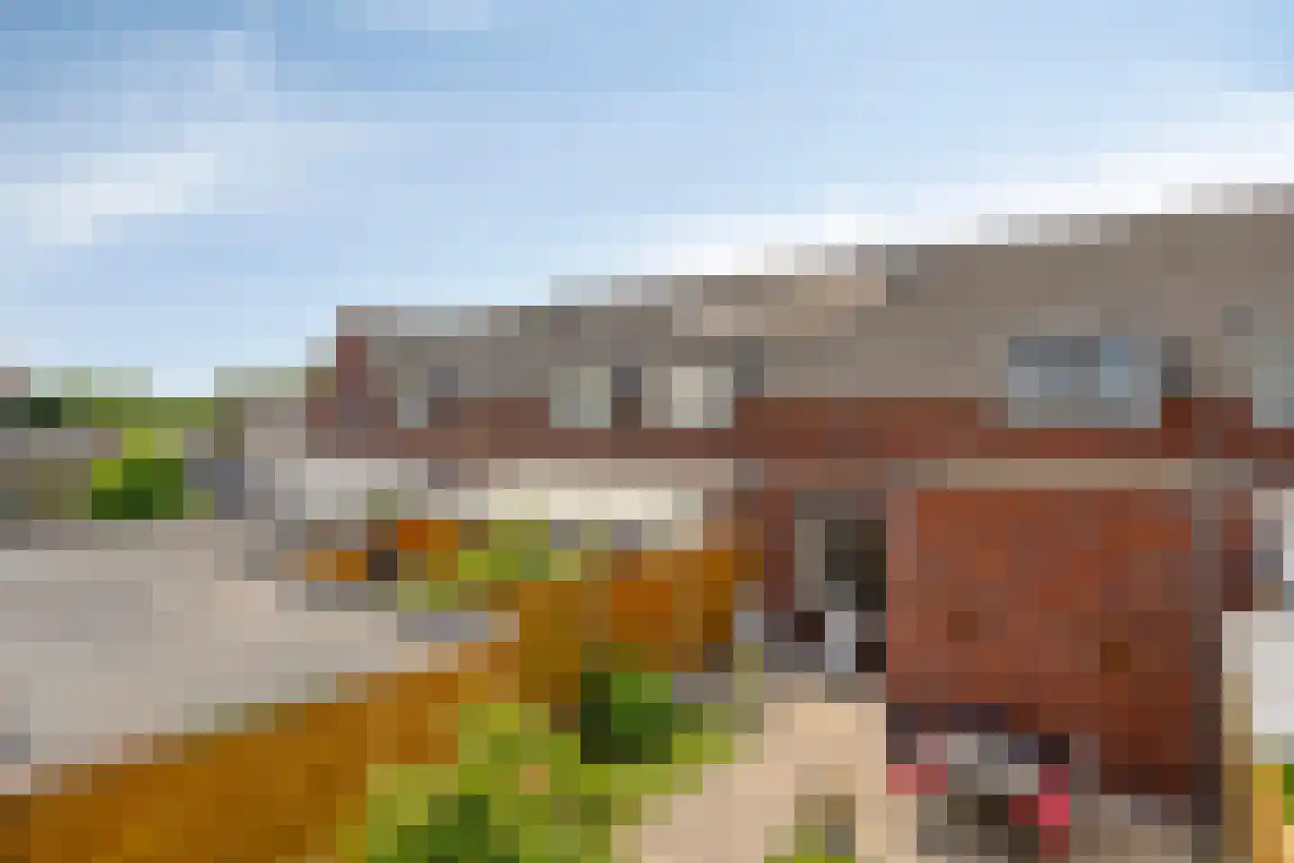 Aloysiusplein 49 Geffen thumbnail 35
