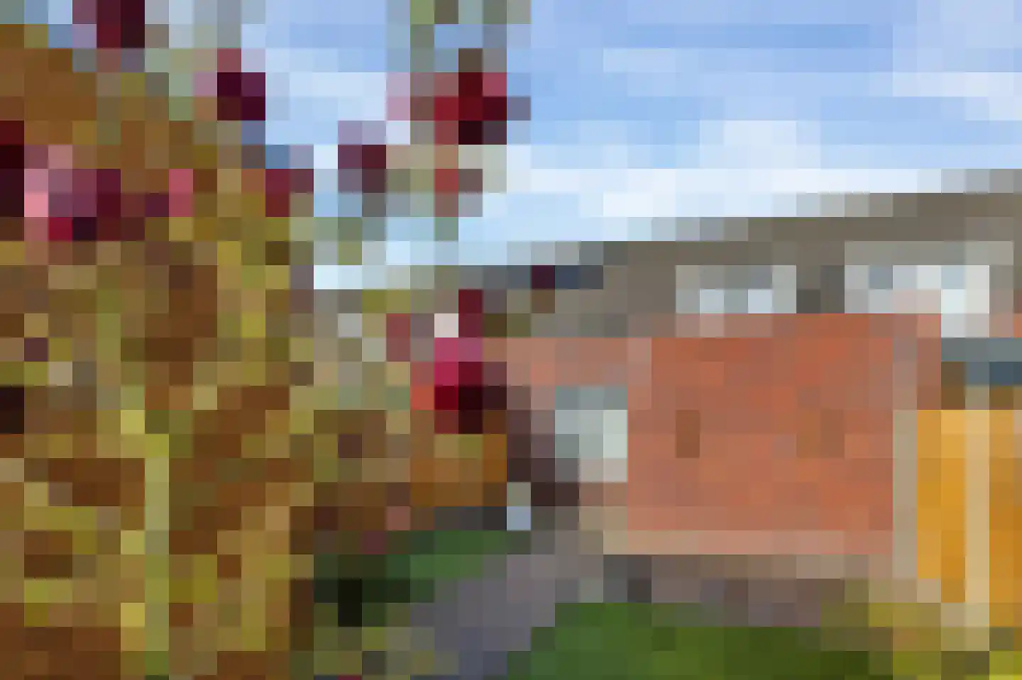 Aloysiusplein 49 Geffen thumbnail 44