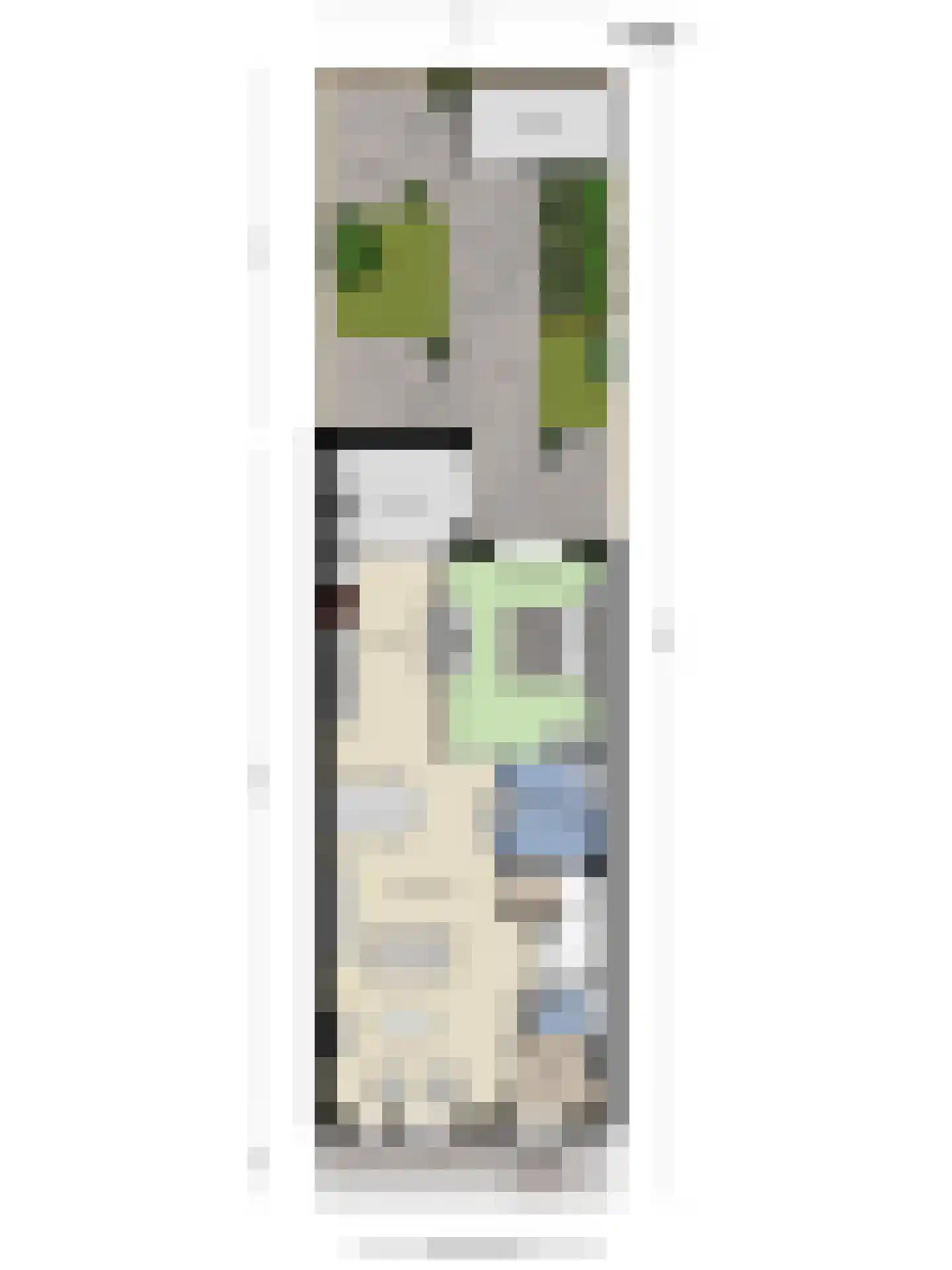 Aloysiusplein 49 Geffen thumbnail 45