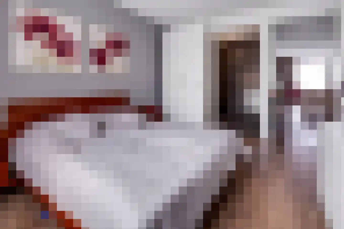 Aloysiusplein 49 Geffen thumbnail 5
