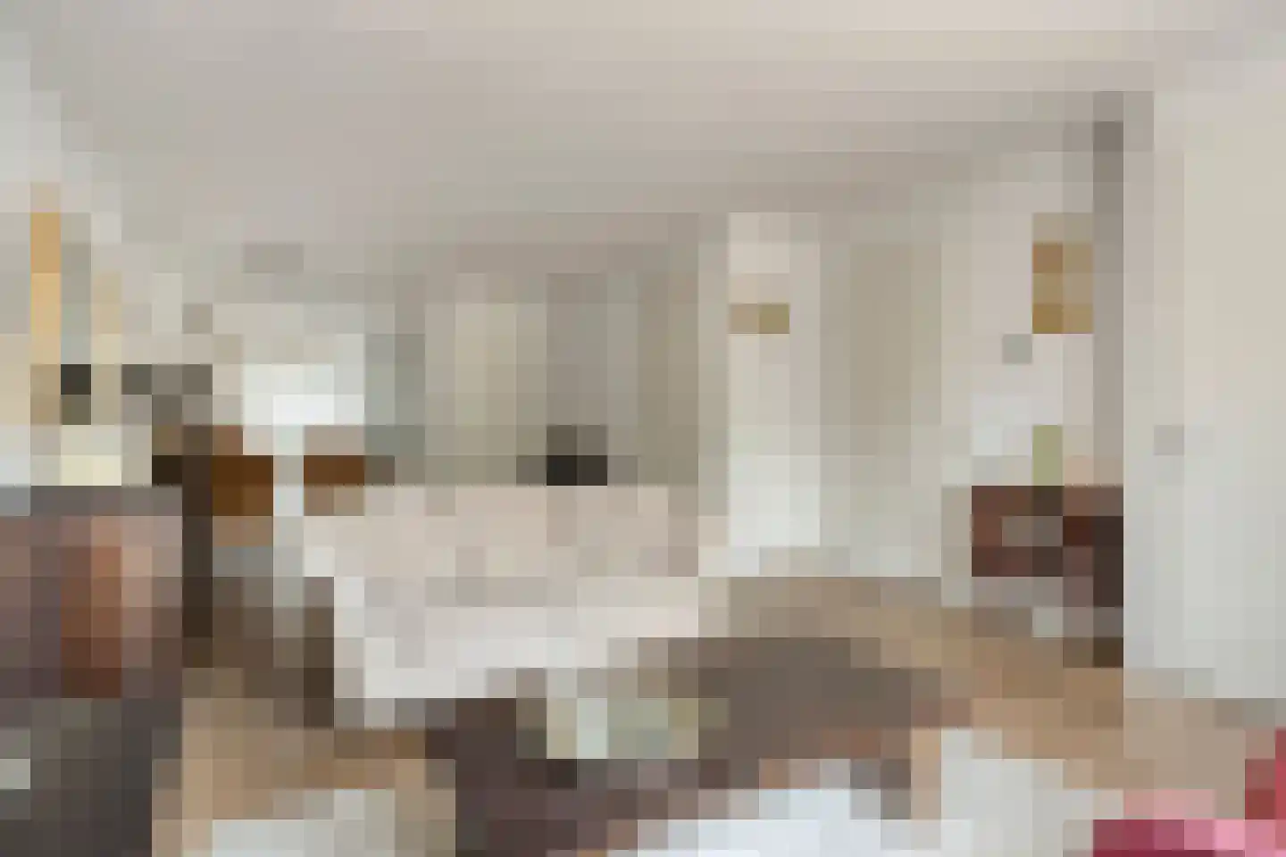 Aloysiusplein 49 Geffen thumbnail 5