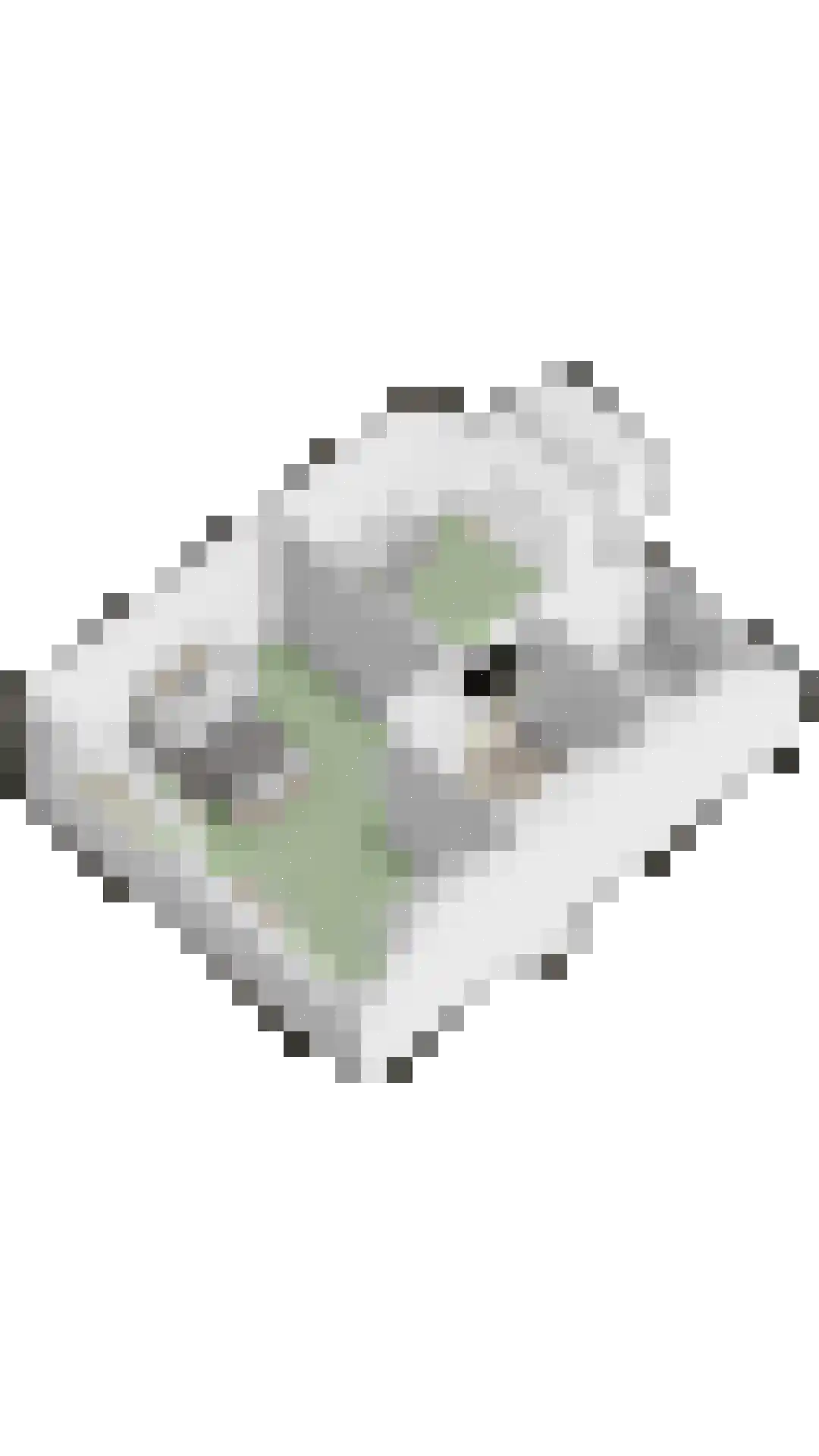 Aloysiusplein 49 Geffen thumbnail 50
