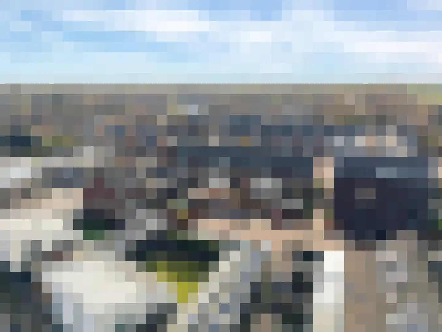 Aloysiusplein 49 Geffen thumbnail 61