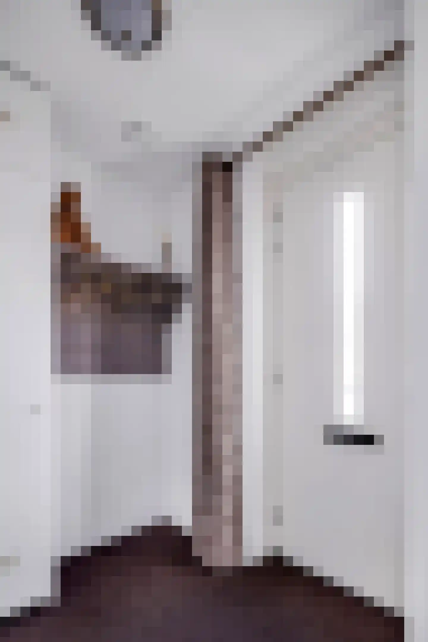 Aloysiusplein 49 Geffen thumbnail 7
