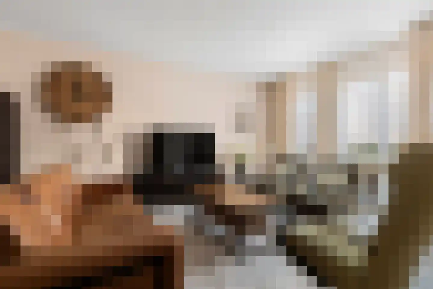 Aloysiusplein 51 Geffen thumbnail 11