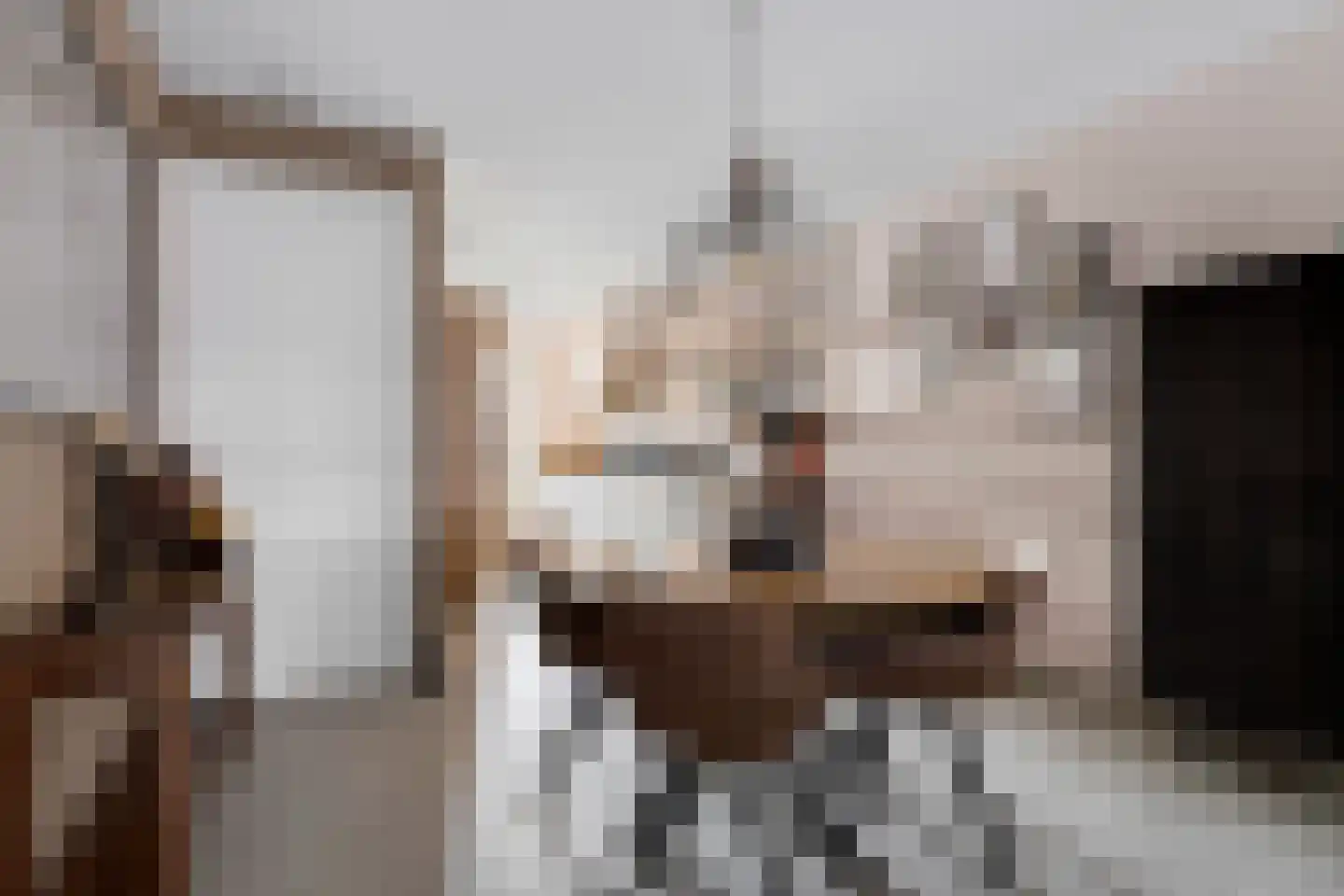 Aloysiusplein 51 Geffen thumbnail 13