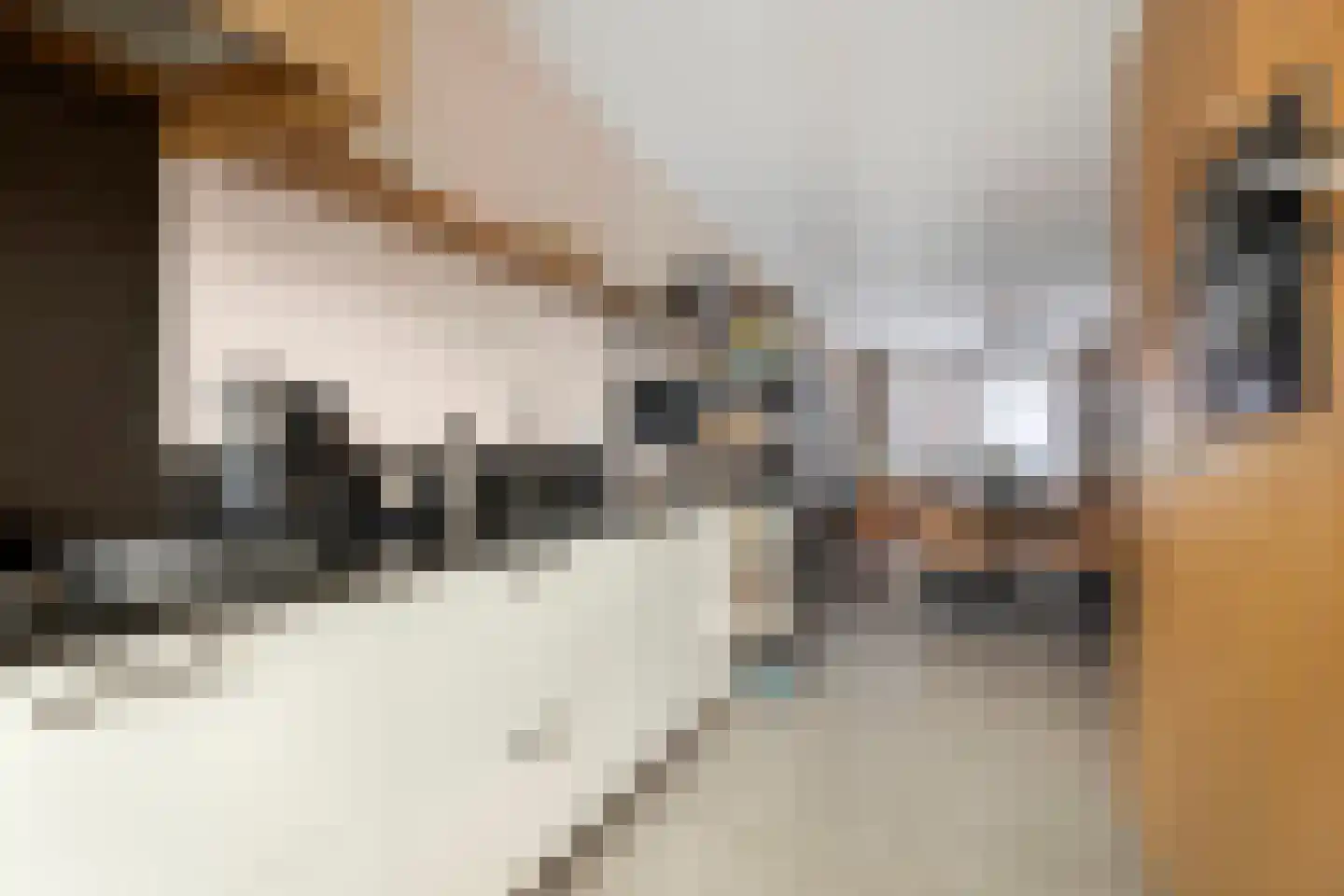 Aloysiusplein 51 Geffen thumbnail 15