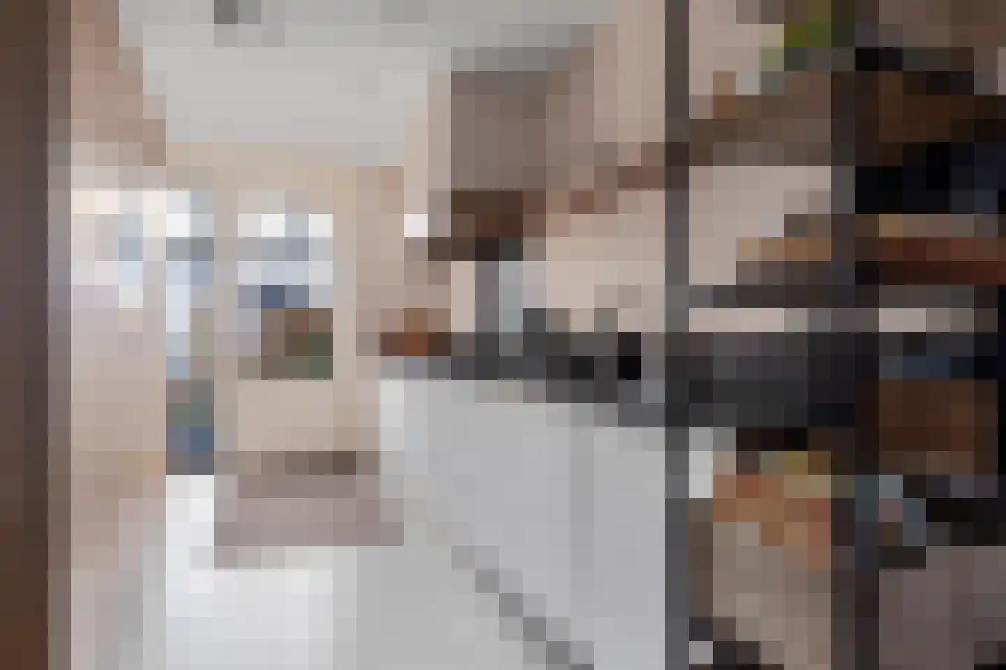 Aloysiusplein 51 Geffen thumbnail 16