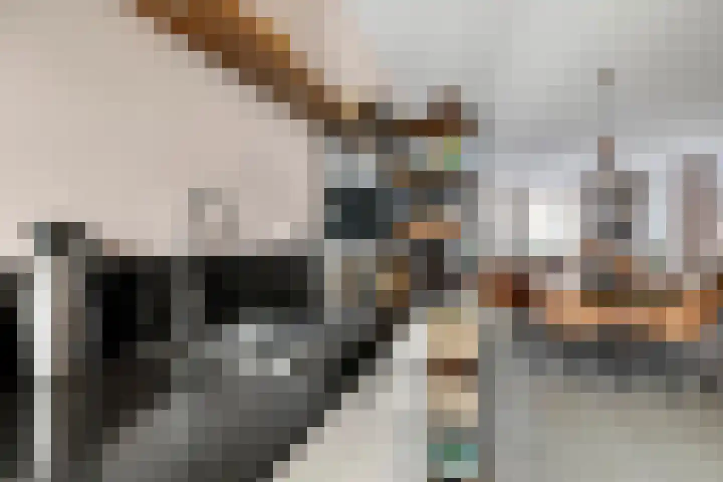 Aloysiusplein 51 Geffen thumbnail 18