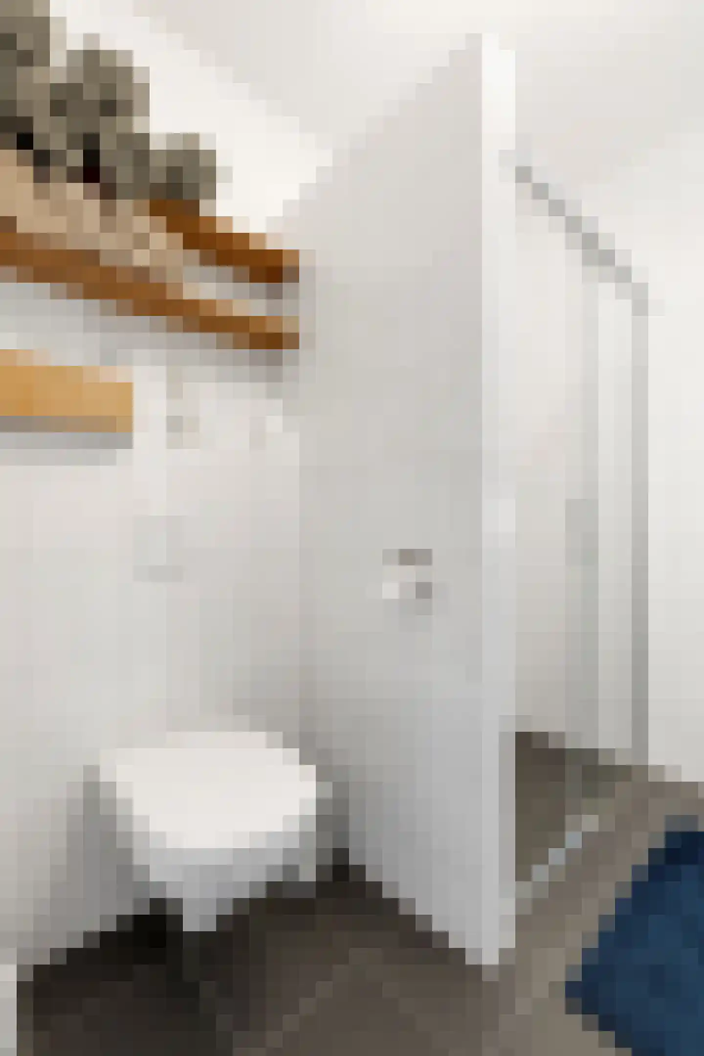 Aloysiusplein 51 Geffen thumbnail 22