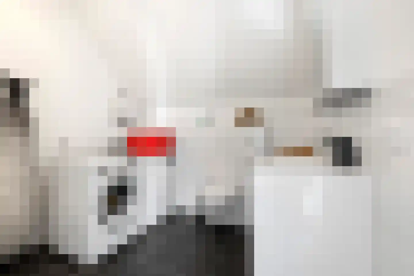 Aloysiusplein 51 Geffen thumbnail 32