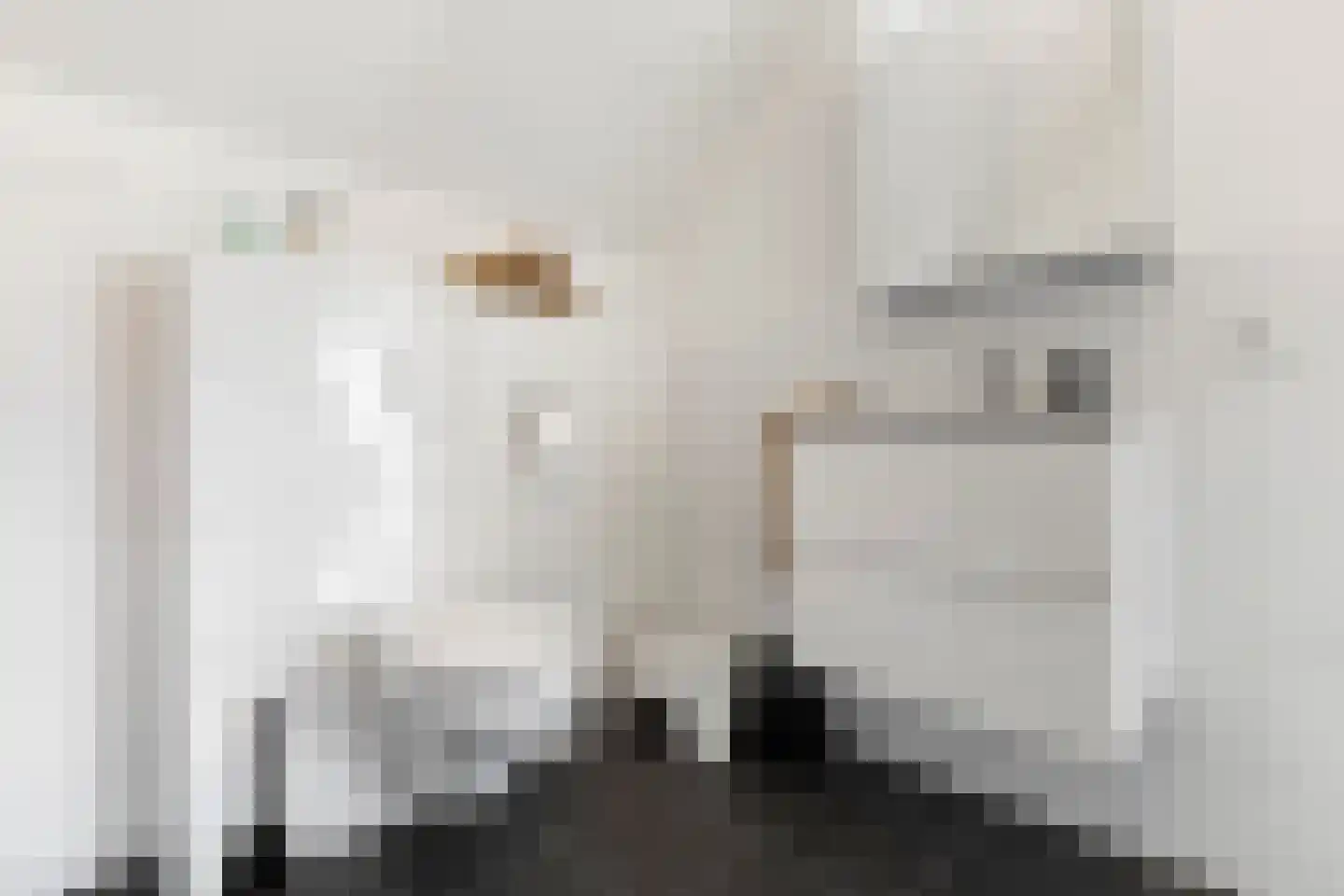 Aloysiusplein 51 Geffen thumbnail 33