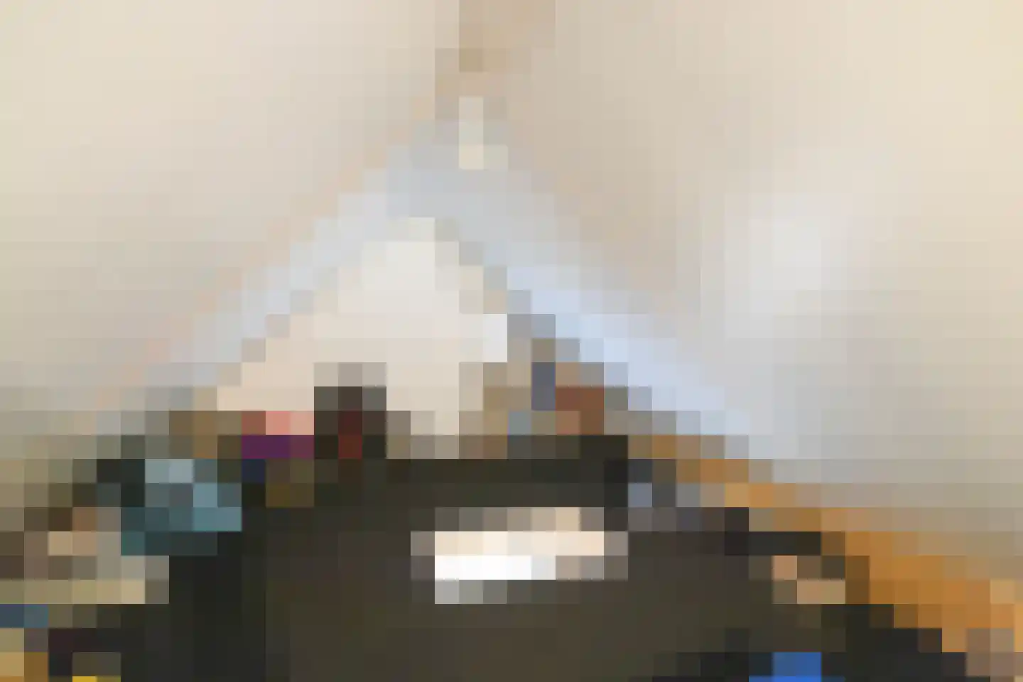 Aloysiusplein 51 Geffen thumbnail 35