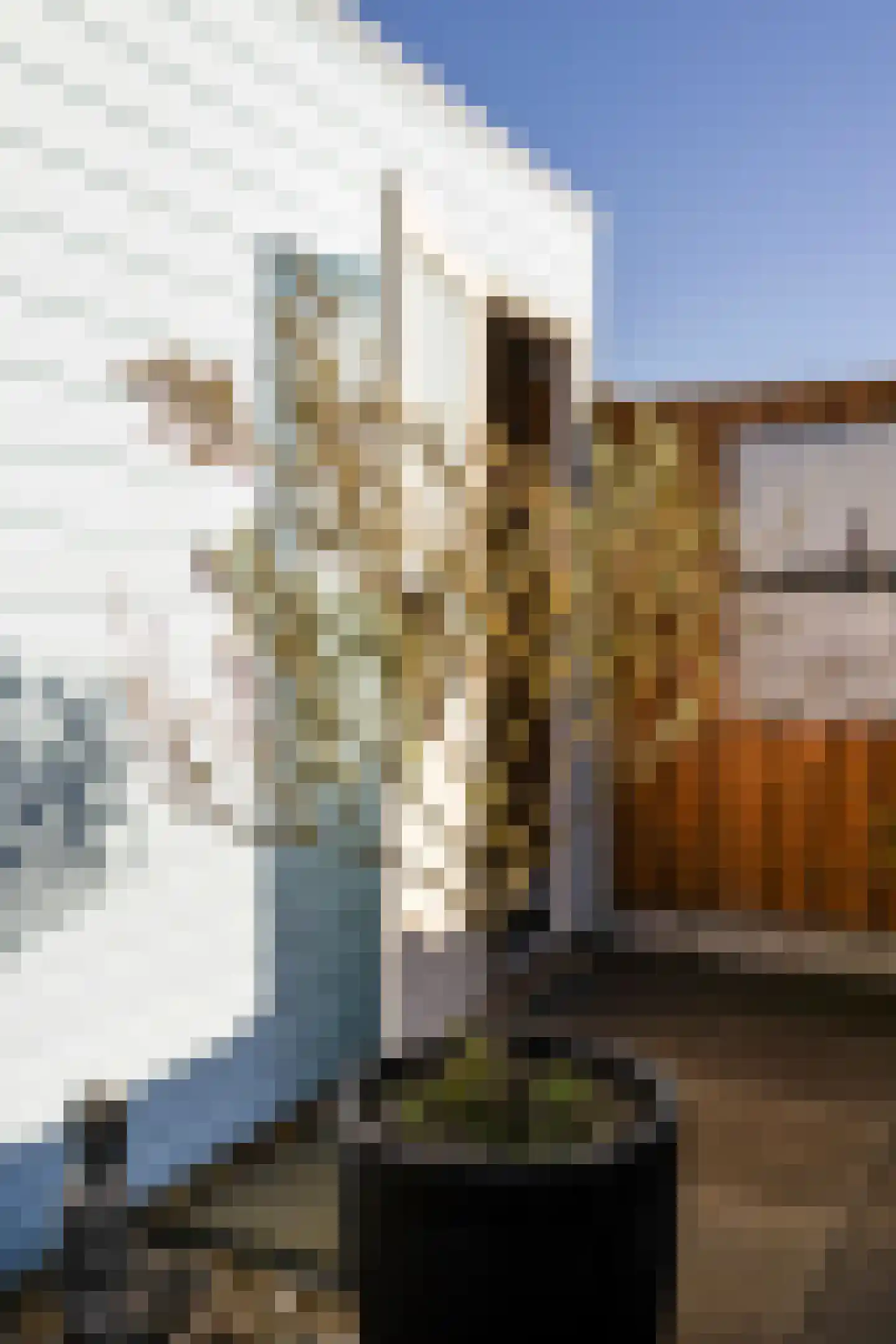 Aloysiusplein 51 Geffen thumbnail 37