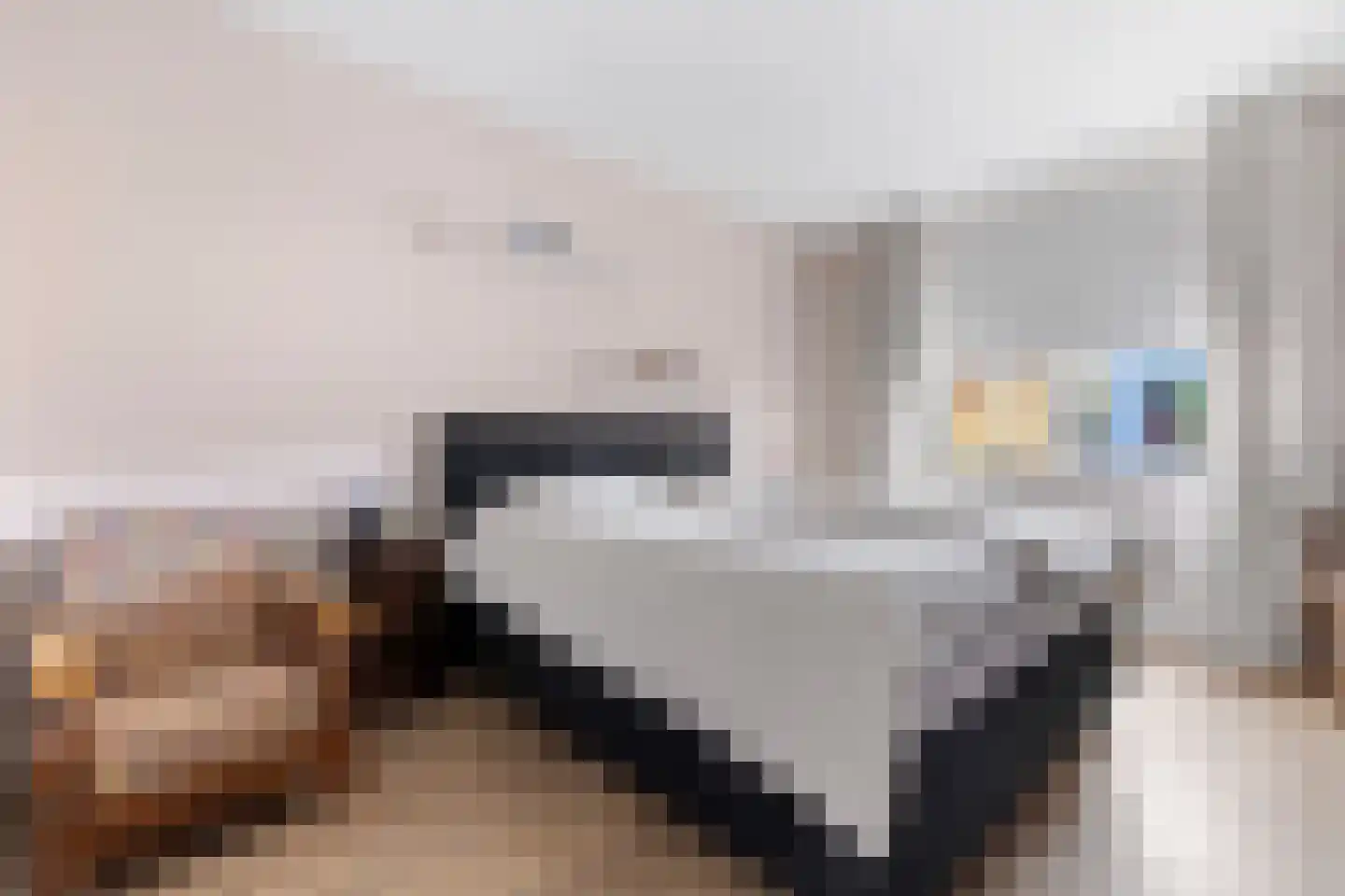 Aloysiusplein 51 Geffen thumbnail 5