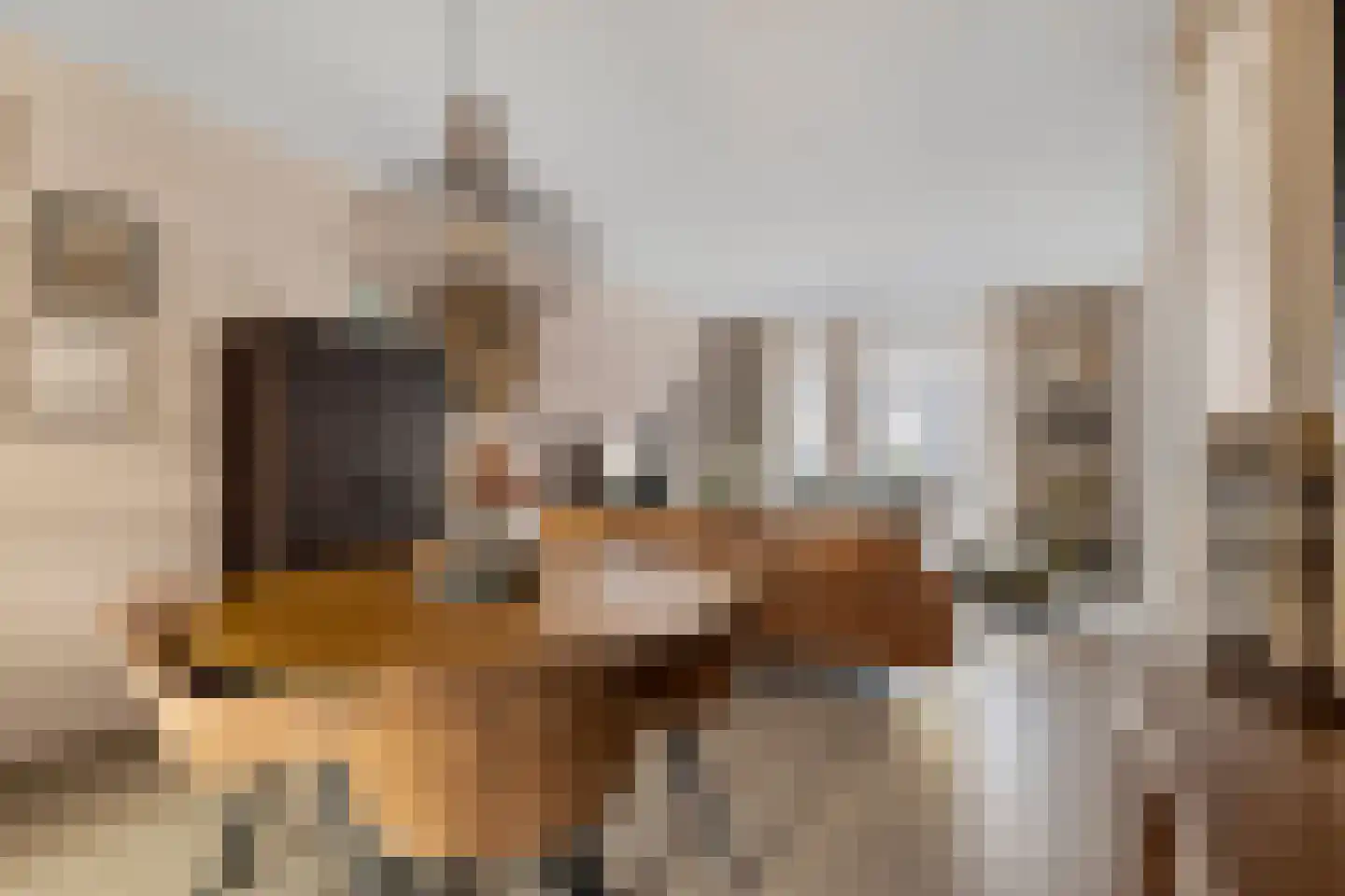 Aloysiusplein 51 Geffen thumbnail 8