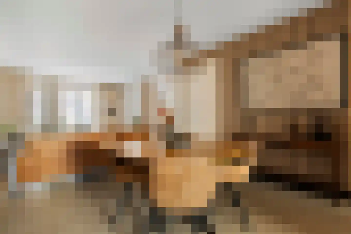 Aloysiusplein 51 Geffen thumbnail 9