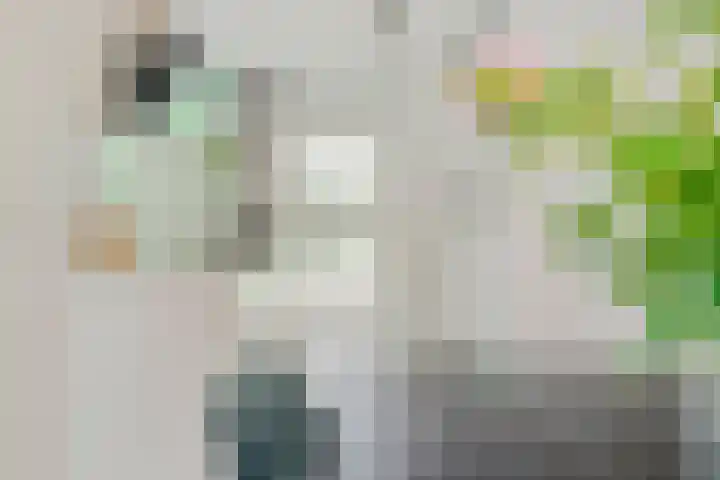 Aloysiusplein 9 Dongen thumbnail 14