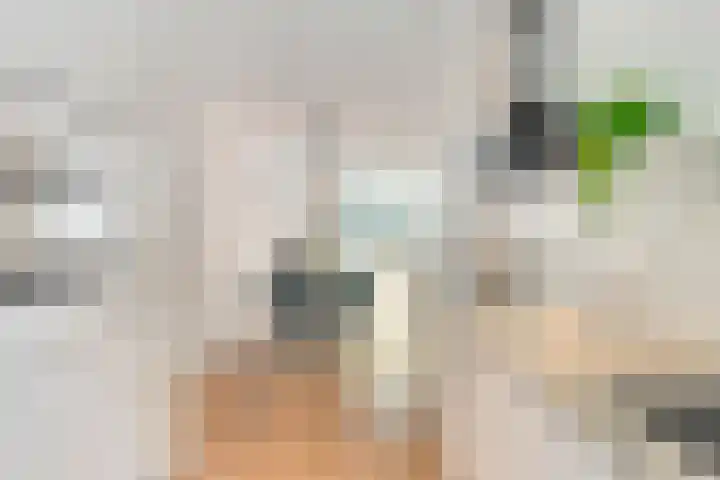 Aloysiusplein 9 Dongen thumbnail 16