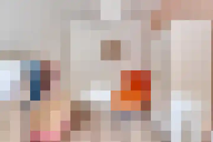 Aloysiusplein 9 Dongen thumbnail 20