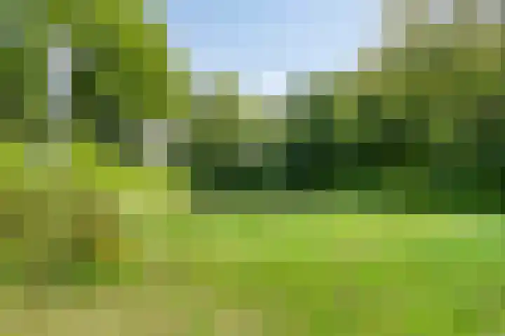 Aloysiusplein 9 Dongen thumbnail 30