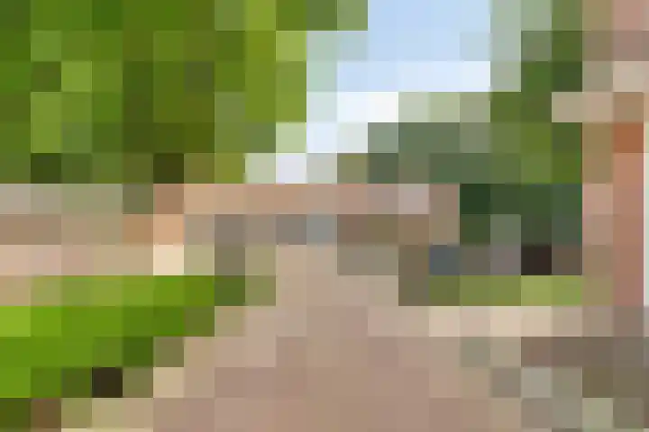 Aloysiusplein 9 Dongen thumbnail 31