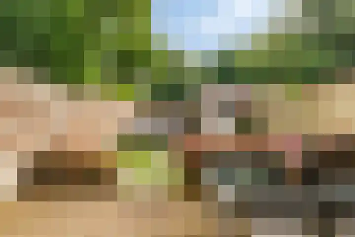 Aloysiusplein 9 Dongen thumbnail 6