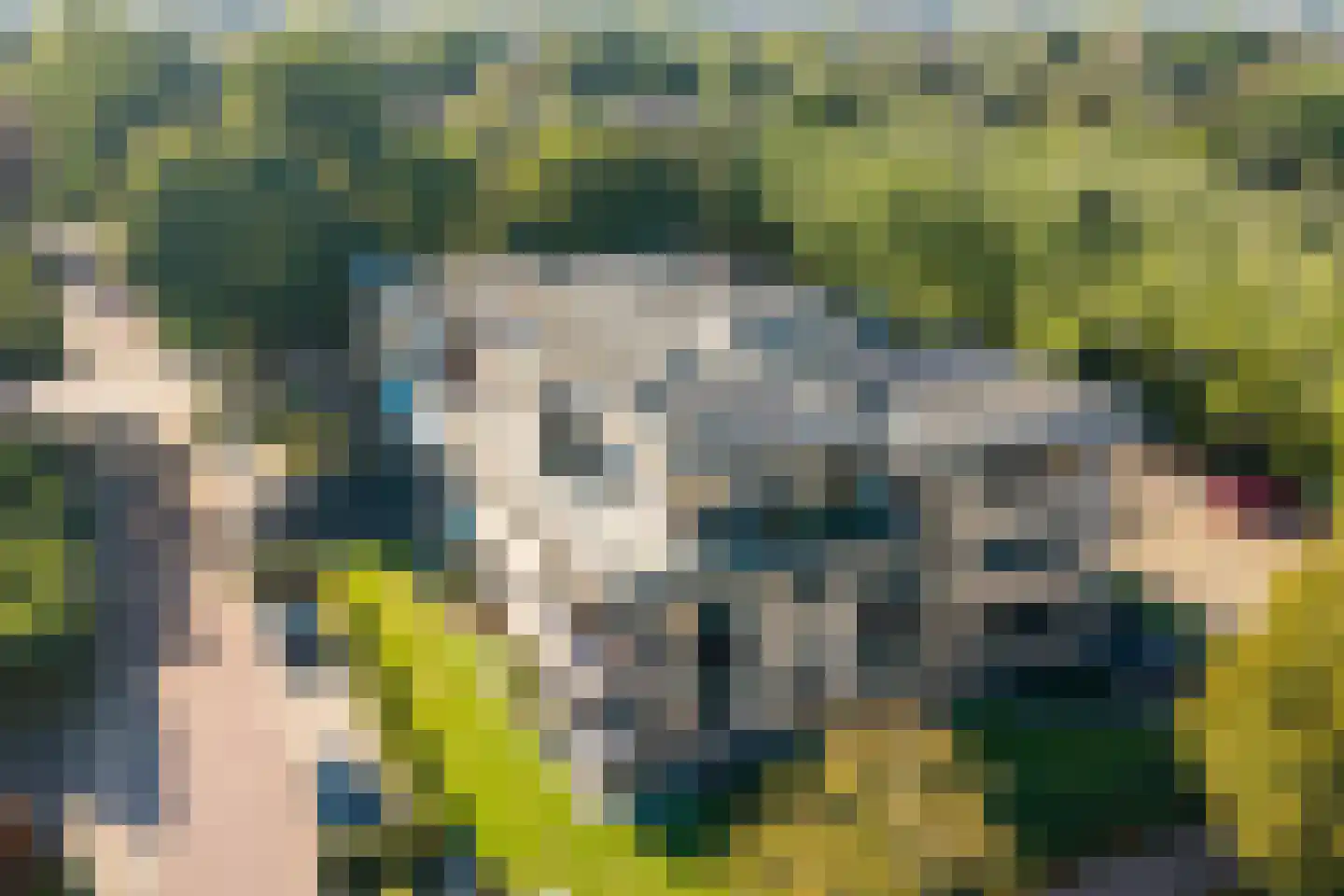 Aloysiusstraat 30 Wolvega thumbnail 36
