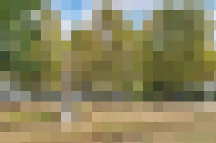 Aloysiusstraat 5 Schijndel thumbnail 31