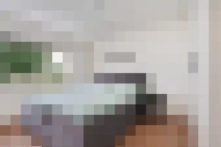 Aloysiusstraat 5 Schijndel thumbnail 4
