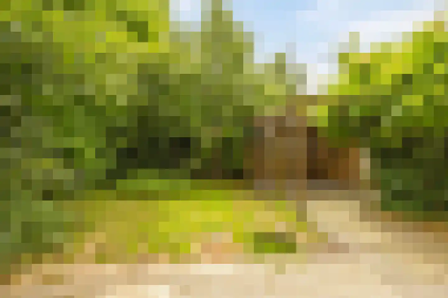 Aloysiusstraat 9 Wolvega thumbnail 31