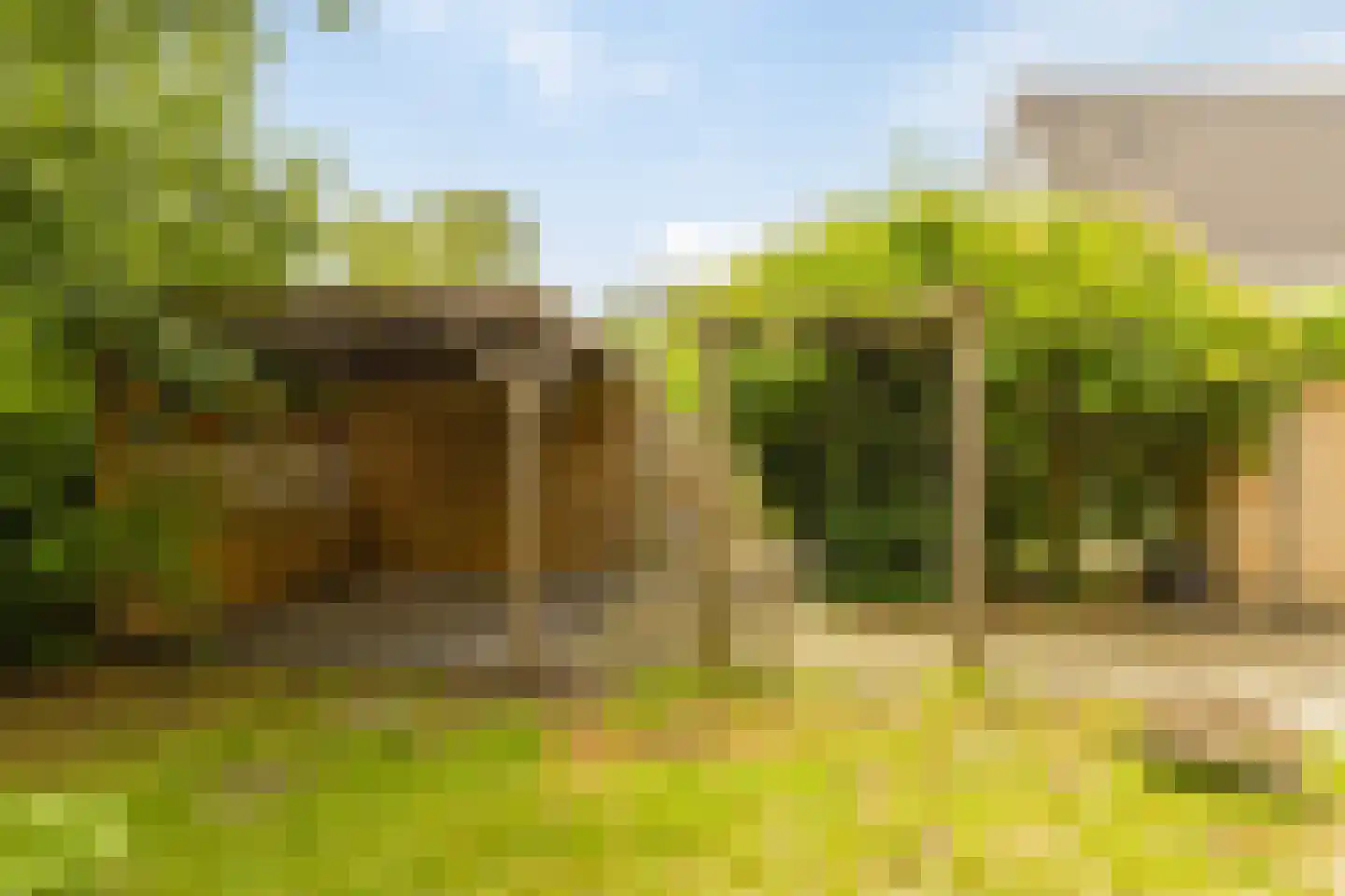 Aloysiusstraat 9 Wolvega thumbnail 32