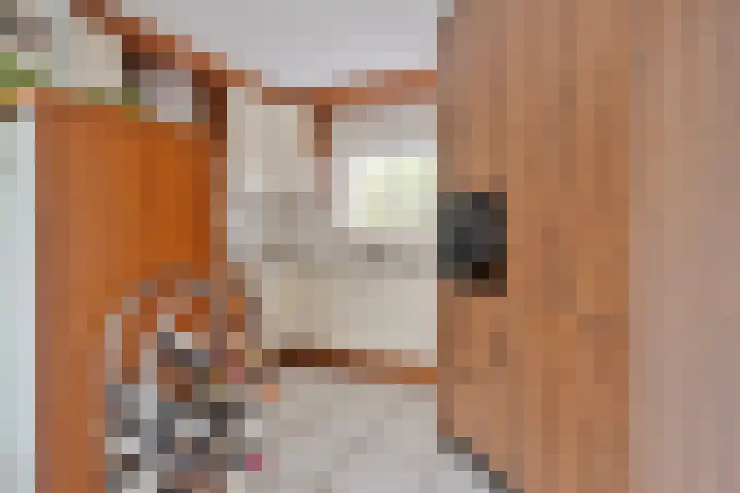 Alpacastraat 26 Almere thumbnail 12