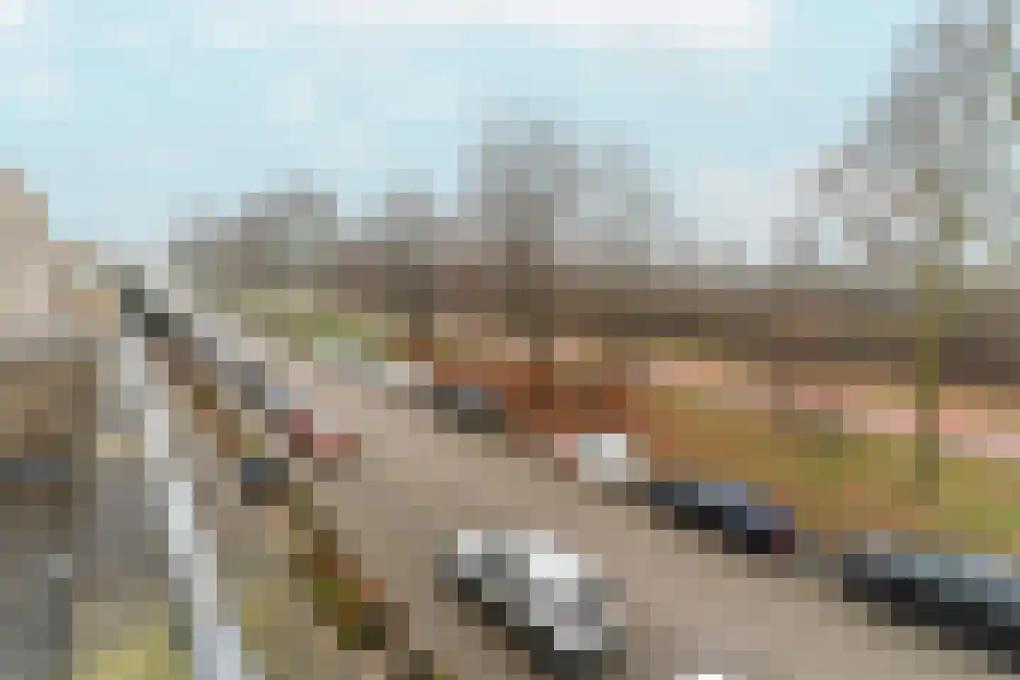 Alpacastraat 60 Almere thumbnail 30
