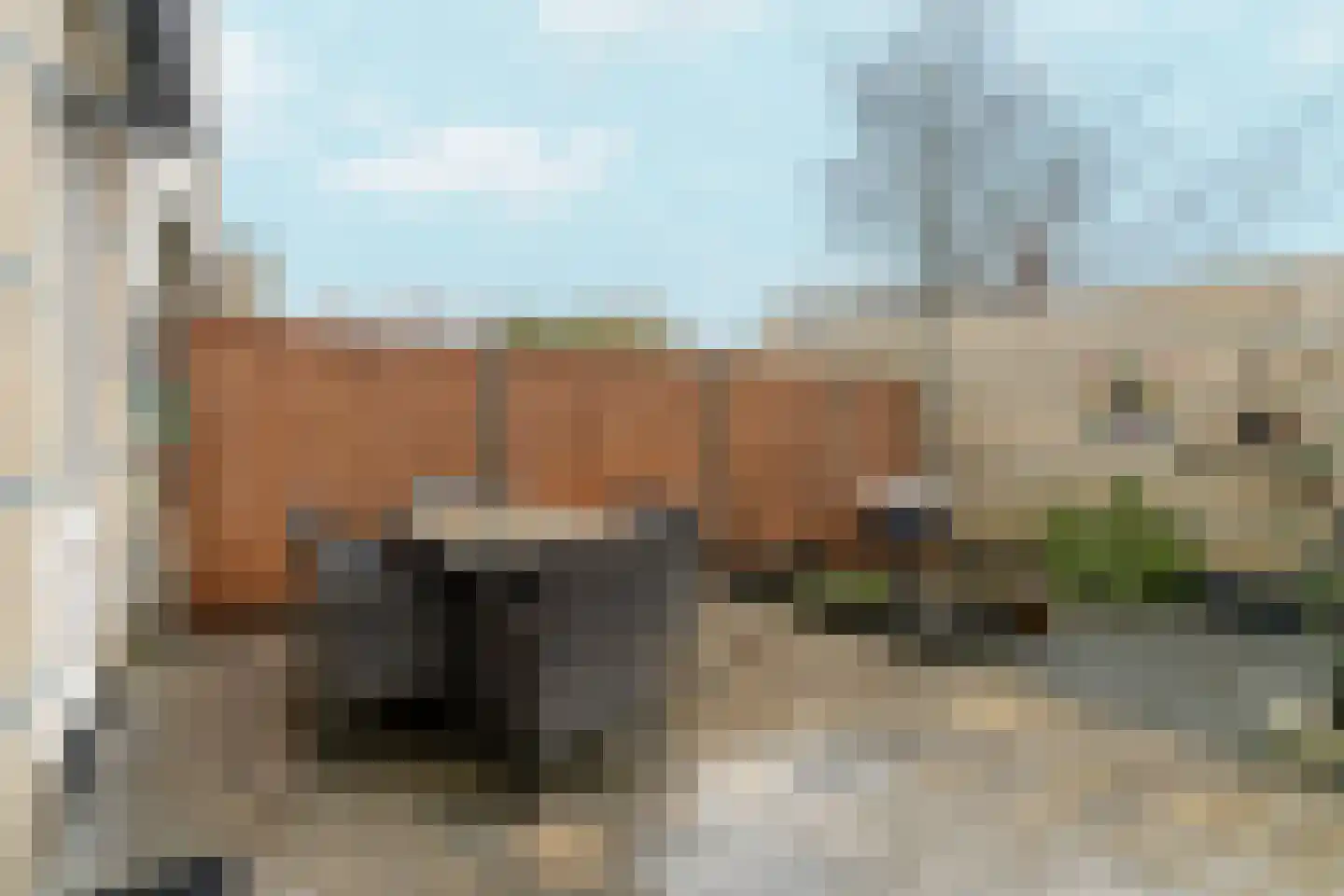 Alpacastraat 60 Almere thumbnail 32