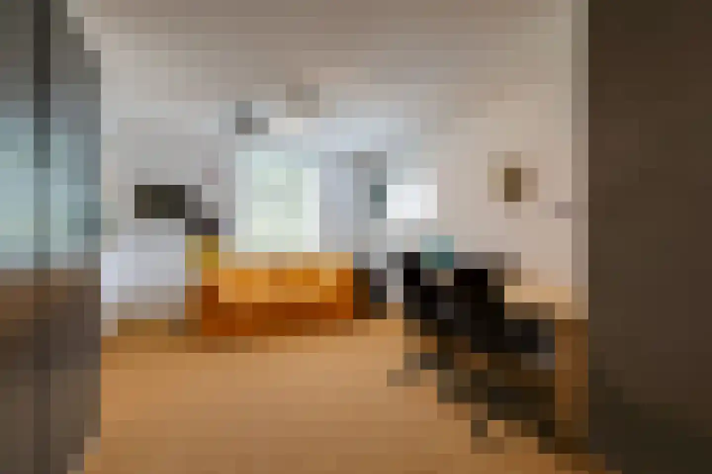 Alpen 7 Doetinchem thumbnail 22