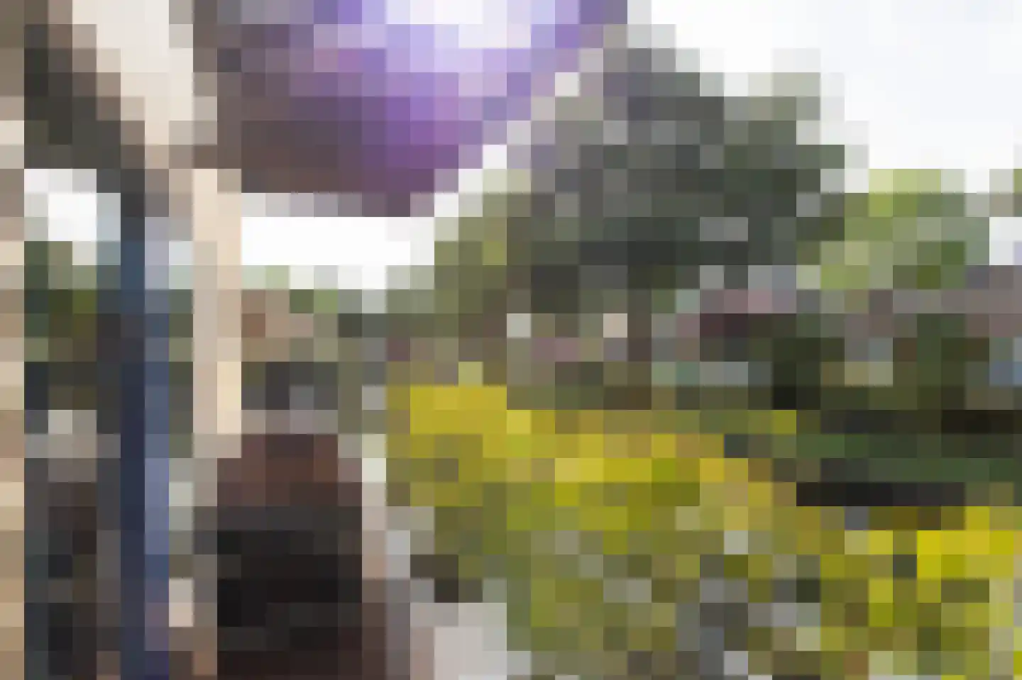 Alpen 7 Doetinchem thumbnail 28