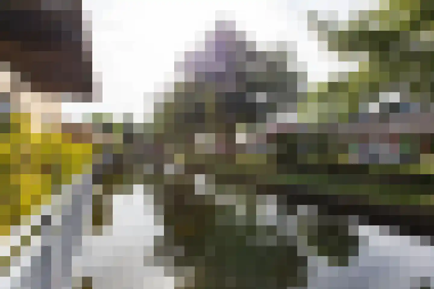 Alpen 7 Doetinchem thumbnail 29
