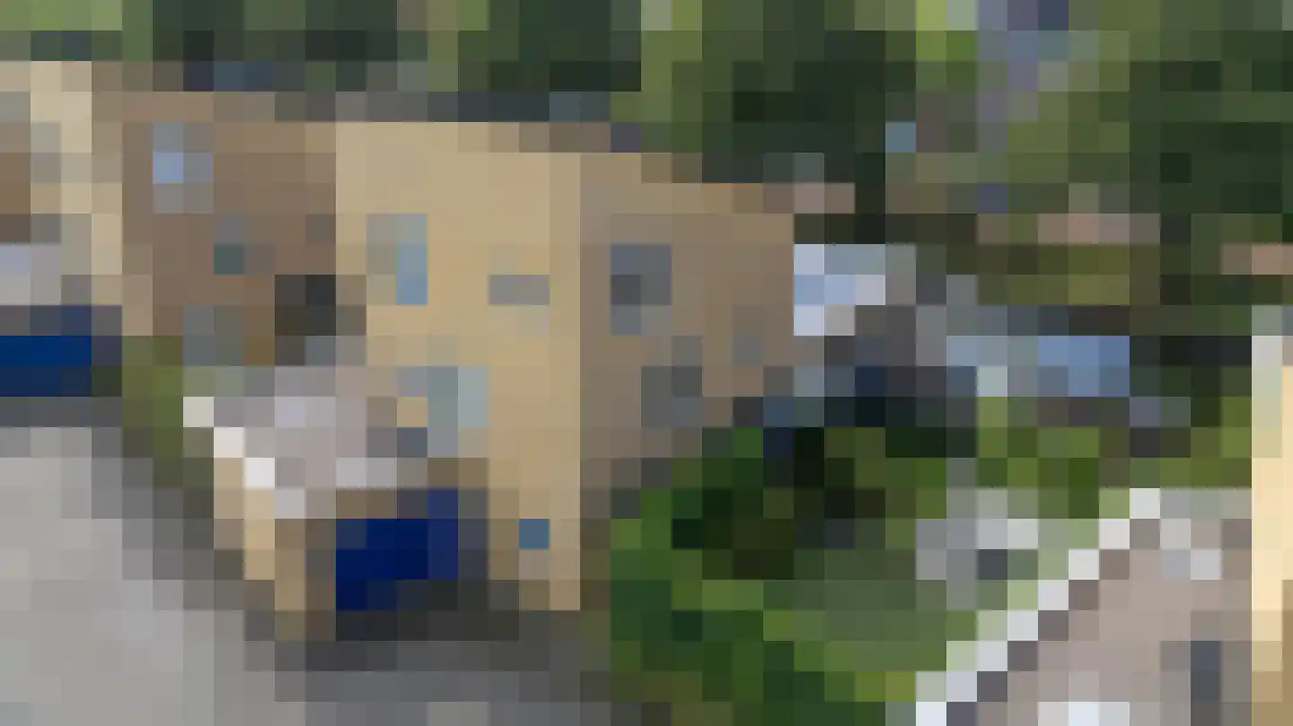 Alpen 7 Doetinchem thumbnail 5