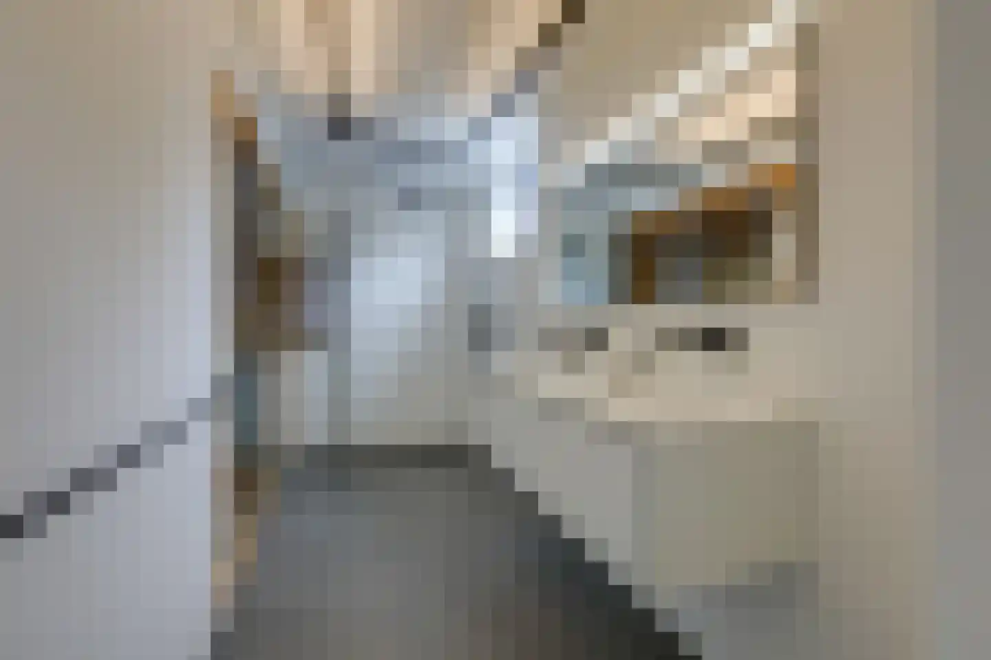 Alpen 7 Doetinchem thumbnail 52