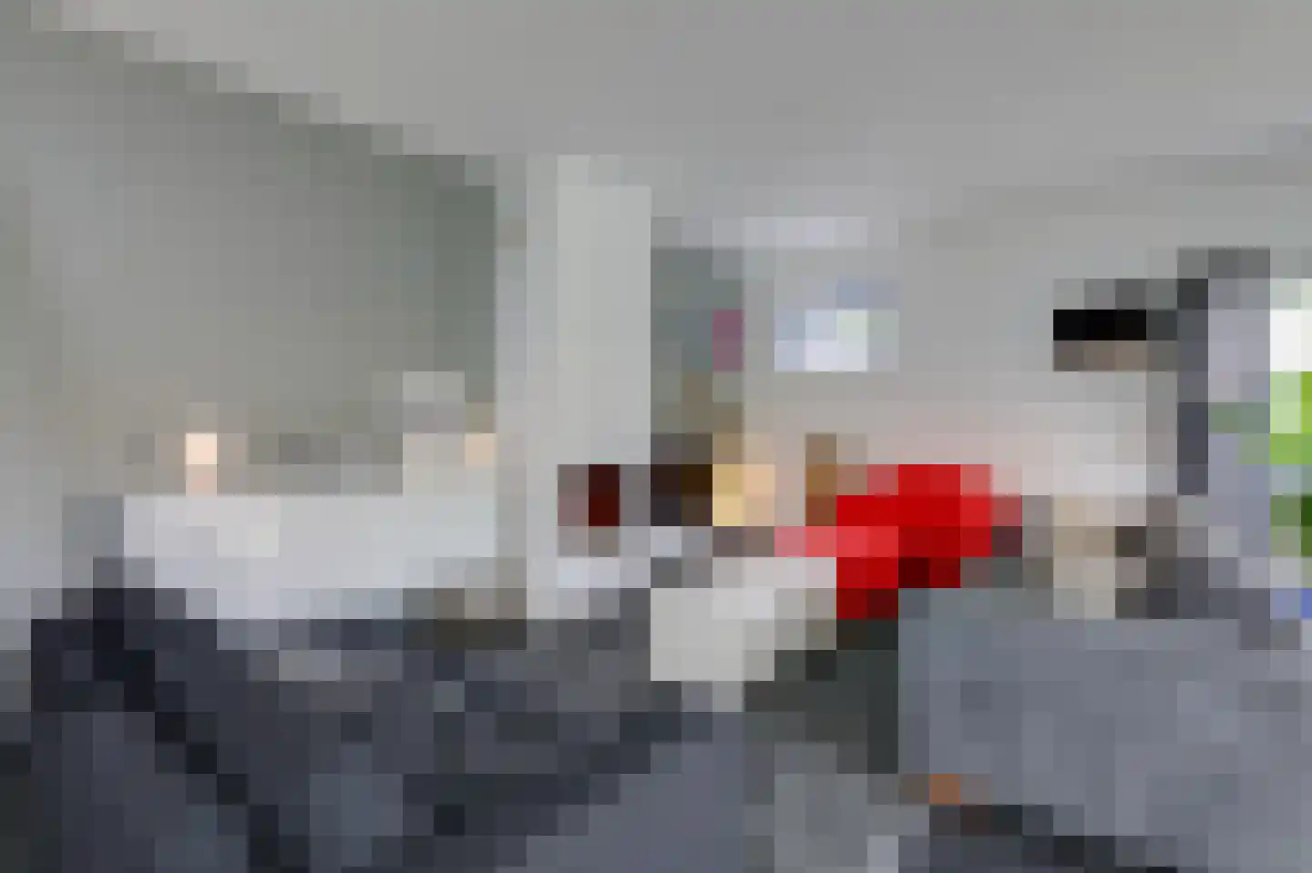 Alpen 7 Doetinchem thumbnail 9