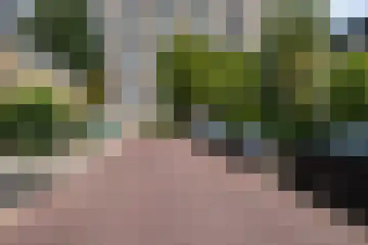 Alpen Rondweg 33 Amstelveen thumbnail 32