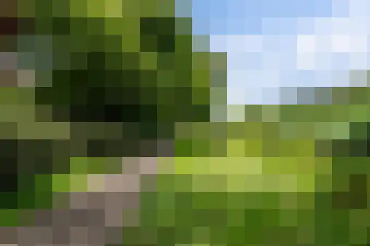 Alpen Rondweg 33 Amstelveen thumbnail 33