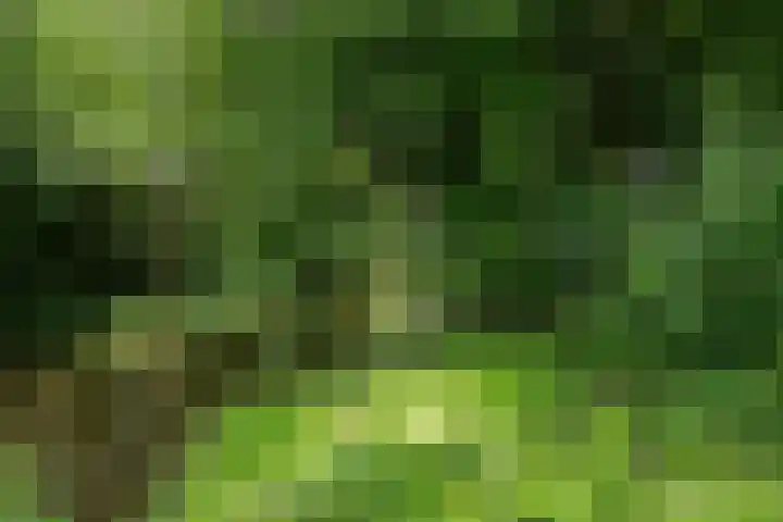 Alpen Rondweg 33 Amstelveen thumbnail 34