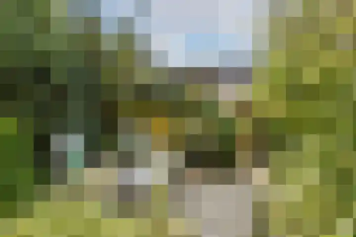 Alpen Rondweg 37 Amstelveen thumbnail 10