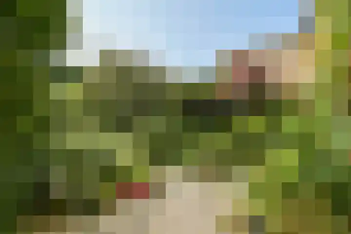 Alpen Rondweg 37 Amstelveen thumbnail 9