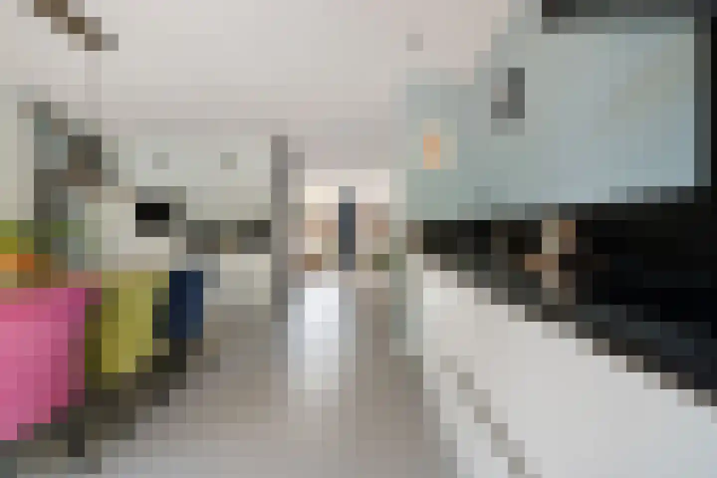 Alpenkraai 1 Emmen thumbnail 12