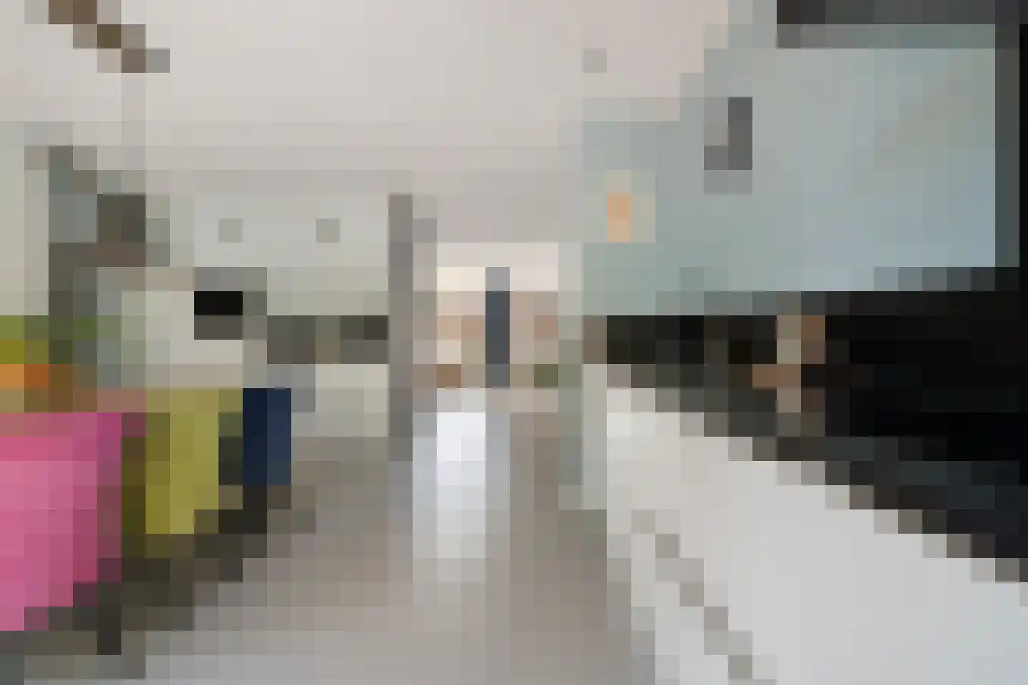 Alpenkraai 1 Emmen thumbnail 12